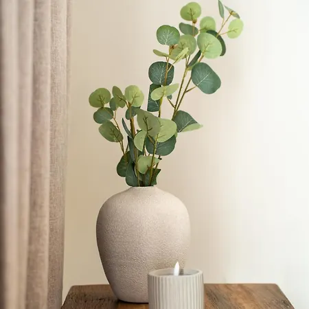 Apartment The Ivory *